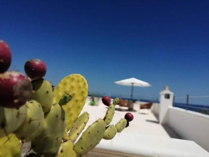 Marina Villa Marittima Eksteriør bilde