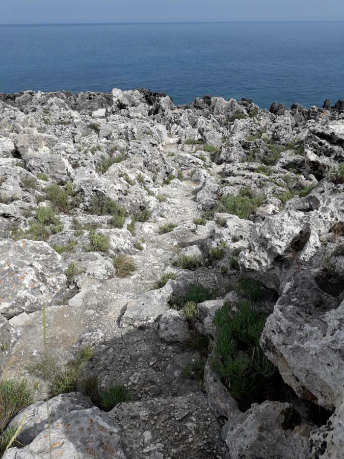 Marina Villa Marittima Eksteriør bilde
